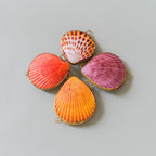 Leaves & Wood Solid Perfume Balm + Mother of Pearl Spoon
