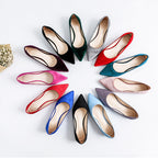 Pointed Toe Shallow Mouth Flats